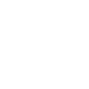 RIDE
